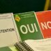 Election FGF: Le renouveau et la jeunesse incarnée par Mamady Doumbouya face aux candidats politiciens et dépassés !